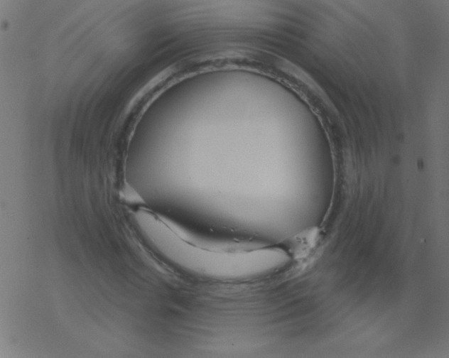 X0000078310826200612011857