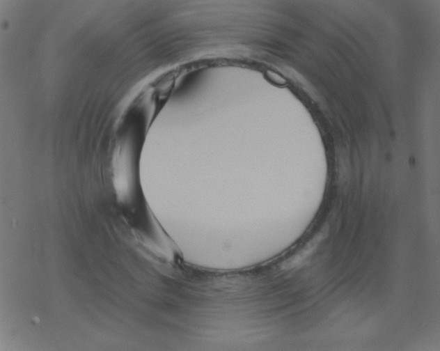 X0000078310830200612011857