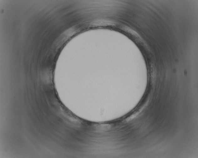 X0000078310833200612011857