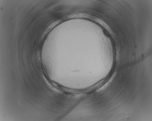 X0000078310849200612011857