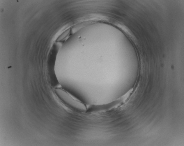 X0000078310850200612011857