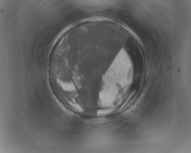 X0000078310853200612011857