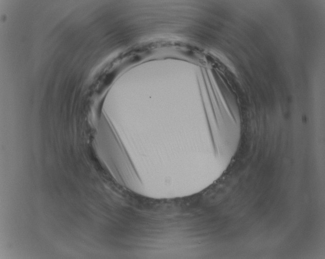 X0000078310872200612011857
