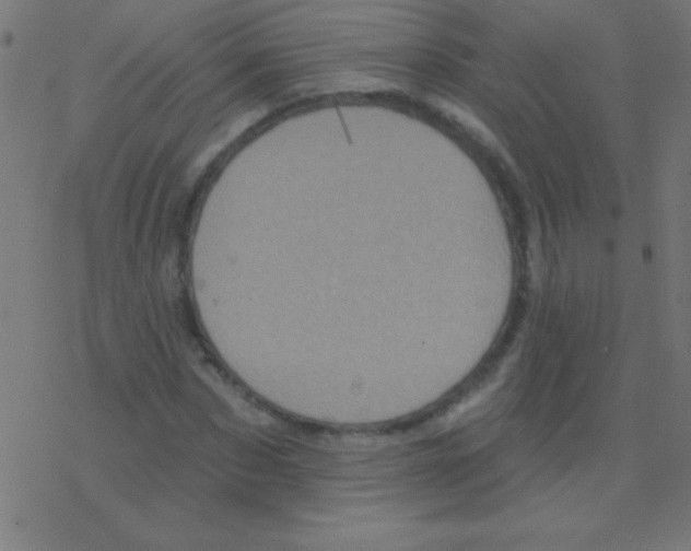 X0000078310873200612011857