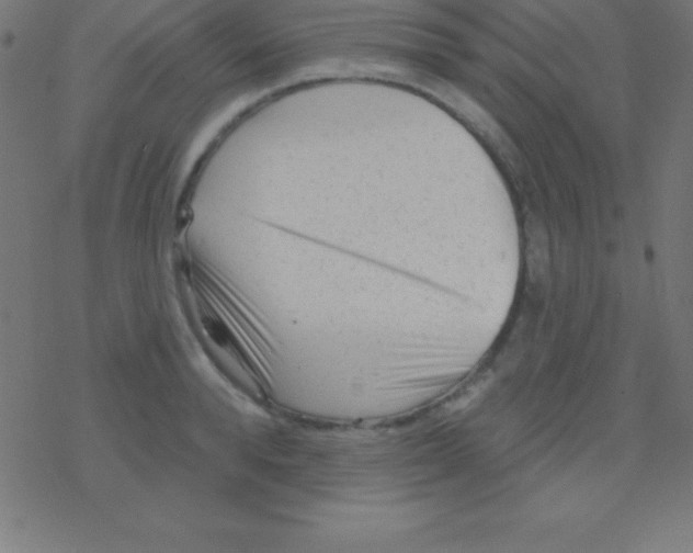 X0000078310896200612011856