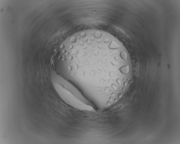 X0000078310917200612011855