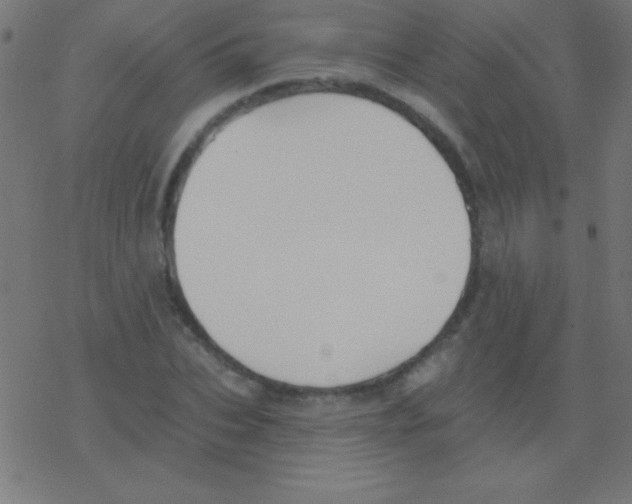 X0000078310927200612011856