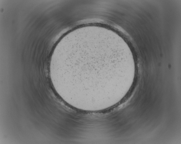 X0000078310929200612011856