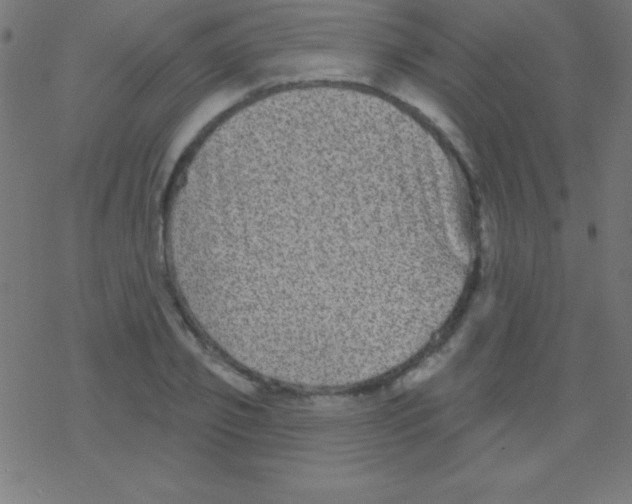 X0000078310933200612011856