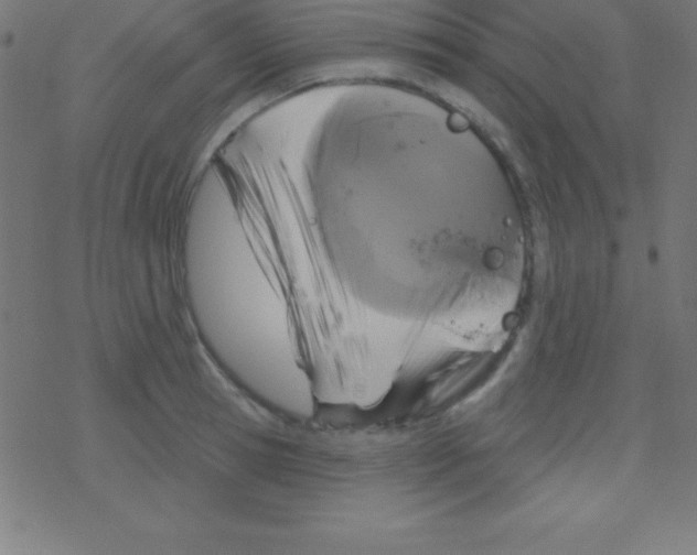 X0000078310945200612011856