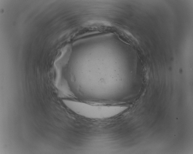 X0000078310965200612011855