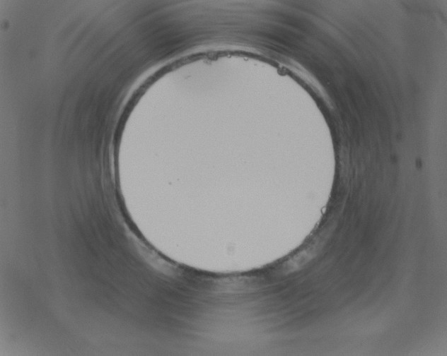 X0000078310988200612011855