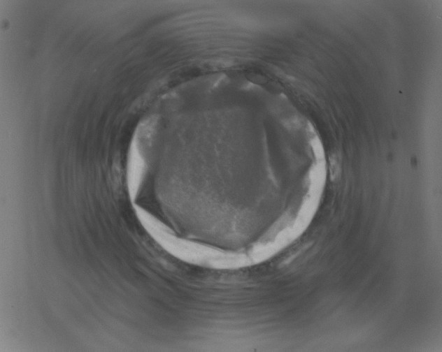 X0000078311011200612011854