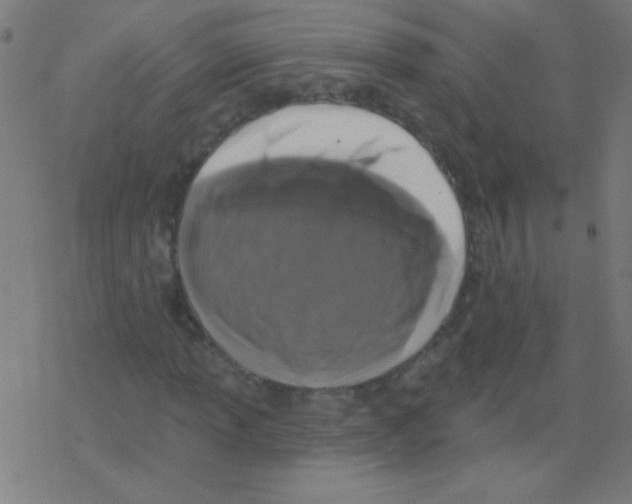 X0000078311013200612011854
