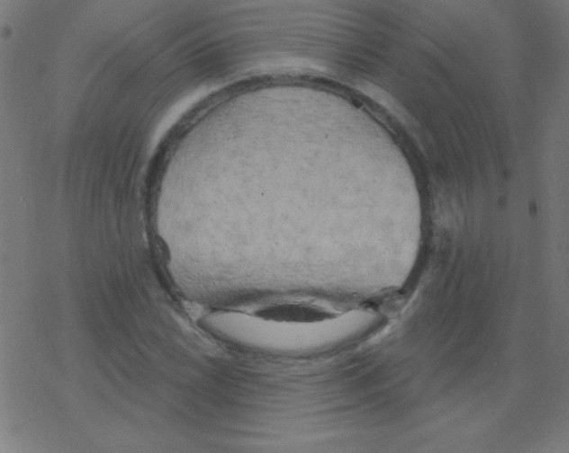 X0000078311022200612011854