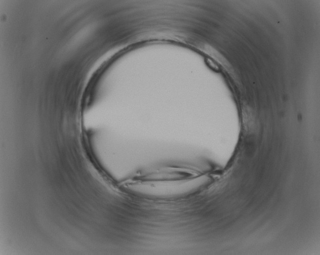 X0000078311028200612011854