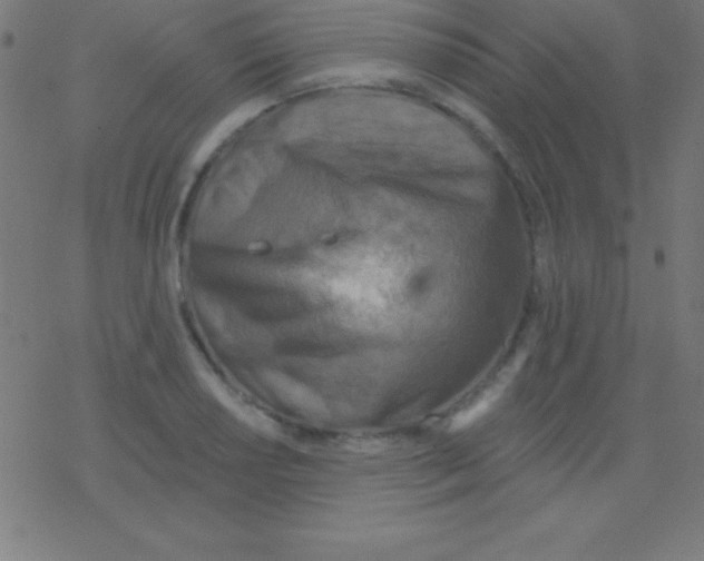 X0000078311034200612011854