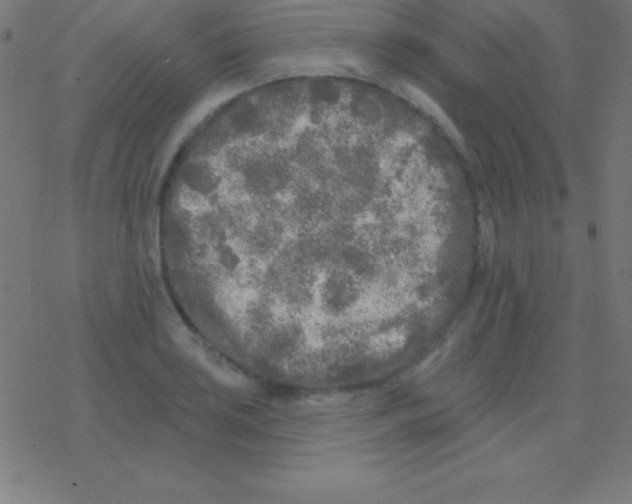 X0000078311035200612011854