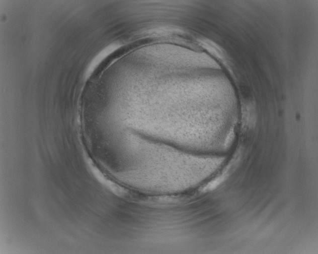 X0000078311042200612011854