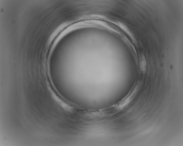 X0000078311054200612011855
