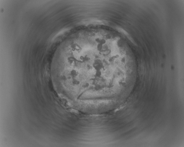 X0000078311063200612011854