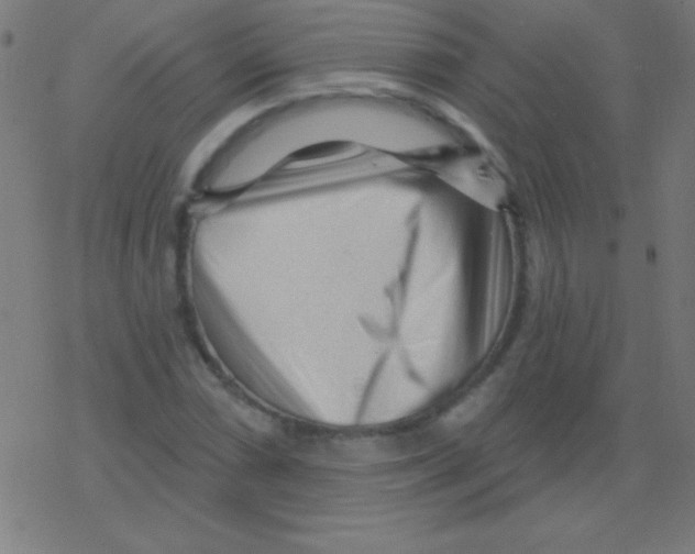 X0000078311066200612011854