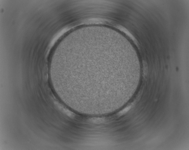 X0000078311075200612011853