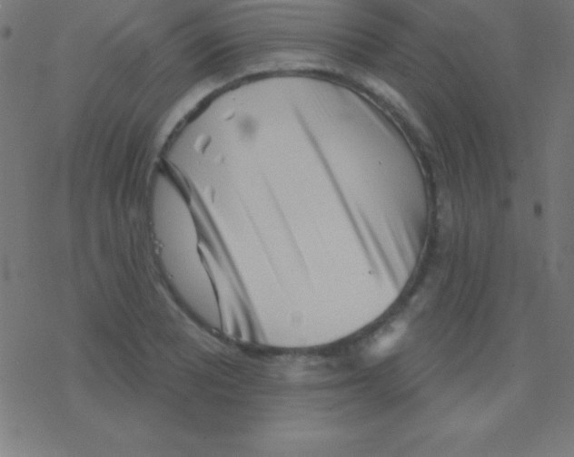 X0000078311081200612011853