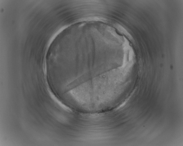 X0000078311084200612011853