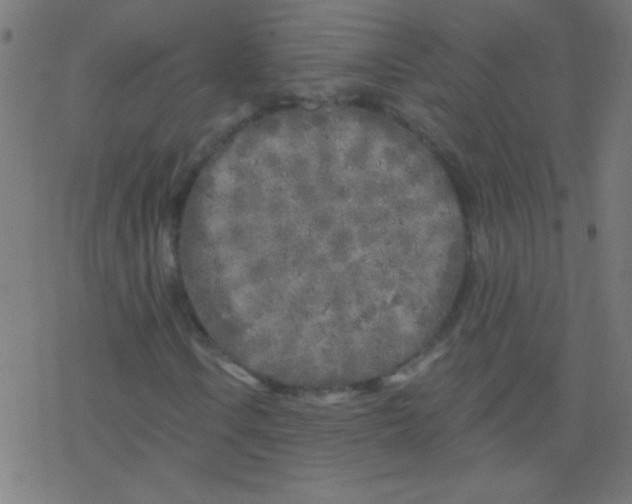 X0000078311106200612011852