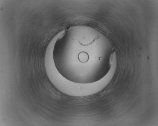 X0000078311108200612011852