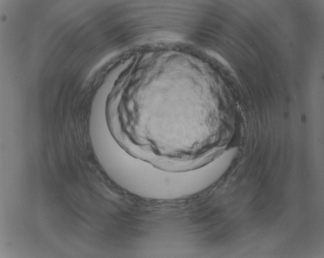 X0000078311112200612011852