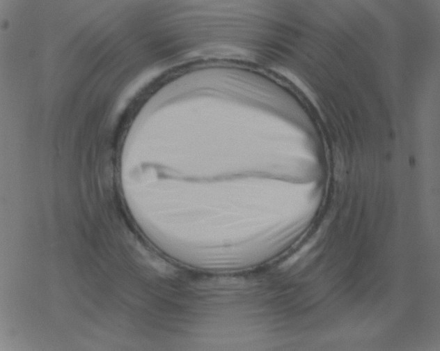 X0000078311115200612011852