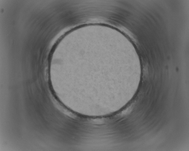 X0000078311126200612011853