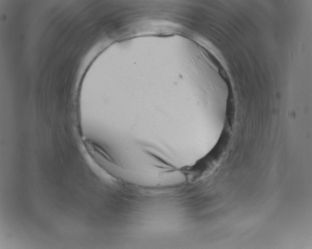X0000078311152200612011853