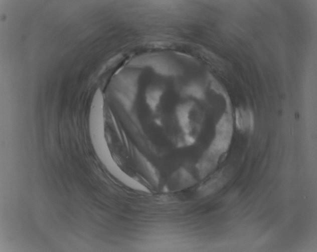 X0000078311155200612011852