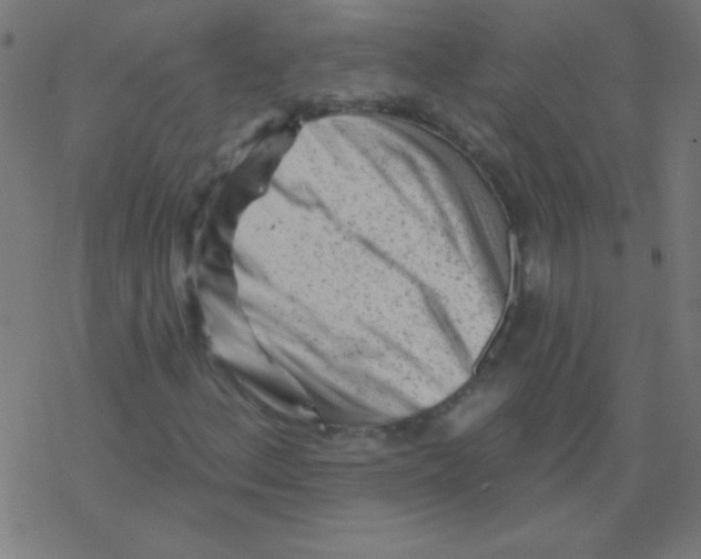 X0000078311156200612011852