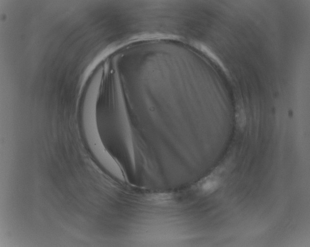 X0000078311173200612011852