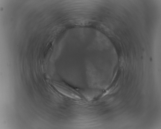 X0000078311202200612011851