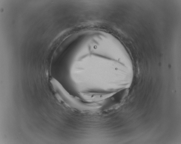 X0000078311206200612011851