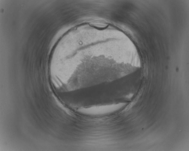 X0000078311231200612011851