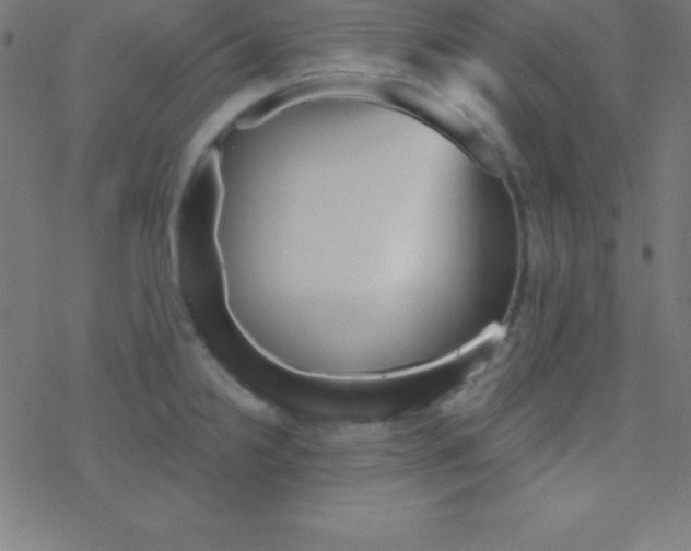 X0000078311238200612011851
