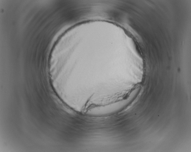X0000078311240200612011851