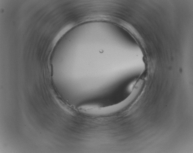 X0000078311242200612011851