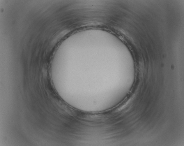 X0000078311257200612011851