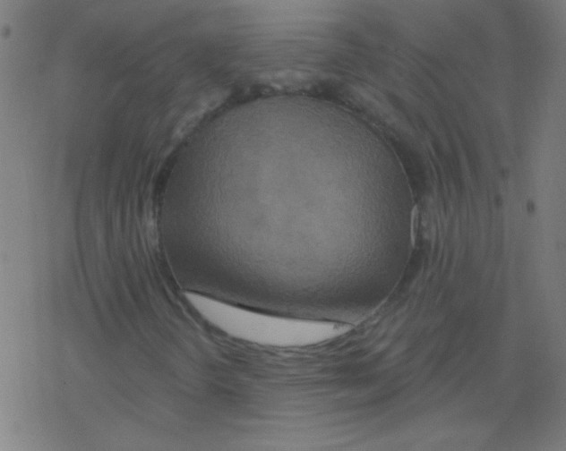 X0000078311298200612011849