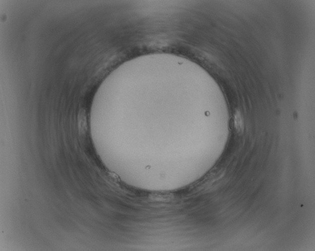 X0000078311299200612011849