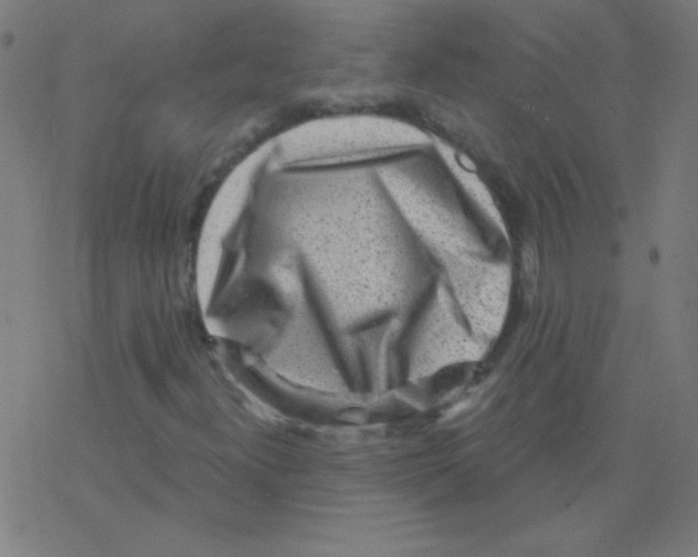 X0000078311300200612011849