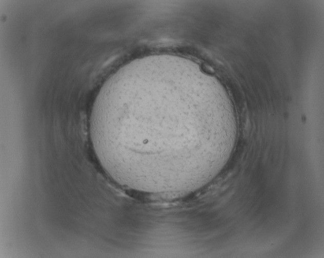 X0000078311301200612011849