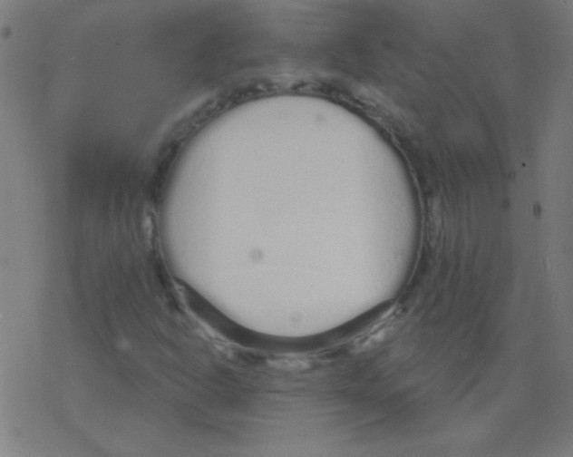 X0000078311302200612011849